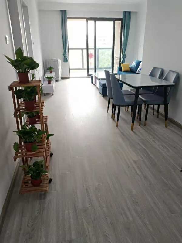 �����㳡�������סլ